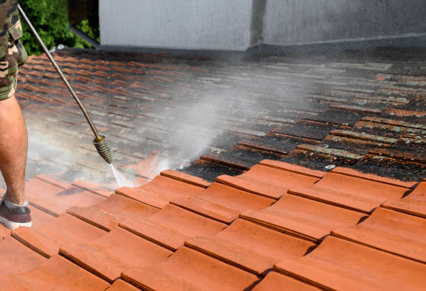 Reliable Seville, FL Pressure Washing Solutions