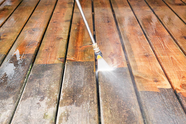 Best Roof Pressure Washing  in Seville, FL