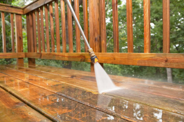 Best Pressure Washing Driveway  in Seville, FL